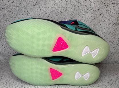 Nike LeBron 8 South Beach