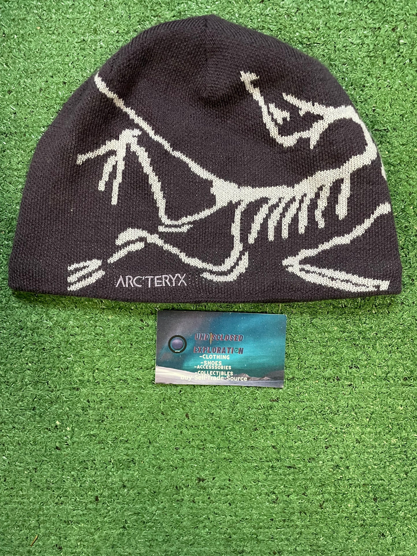 Arc'teryx Bird Head Toque purple  beanie