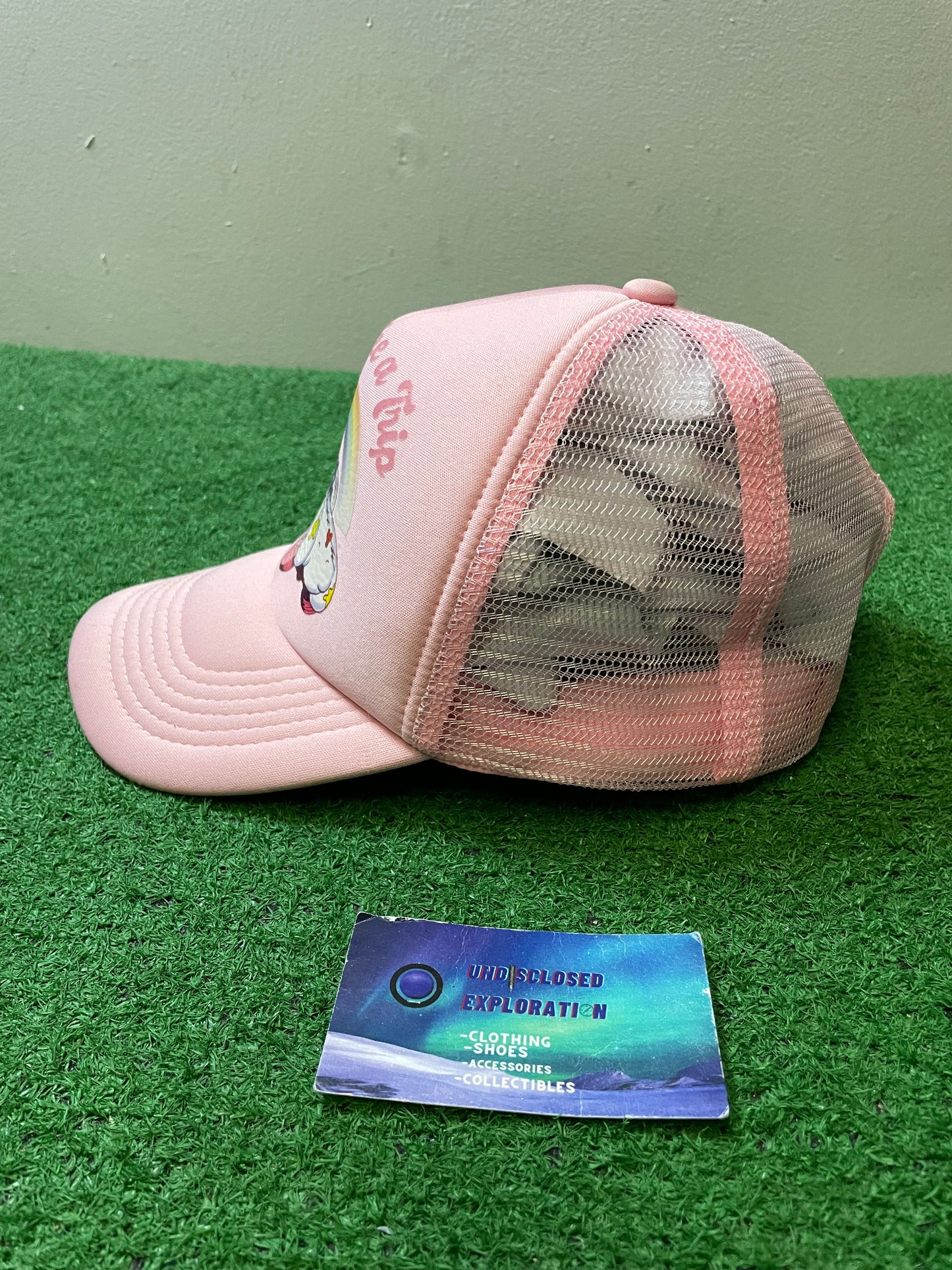 Vintage Care Bears let’s take a trip pink hat