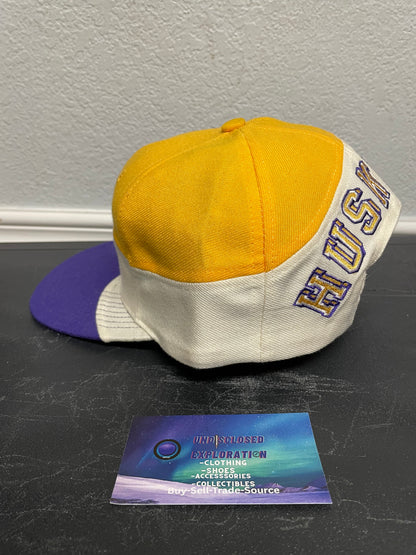 Vintage 1990s University of Washington Huskies Swirl apex one hat