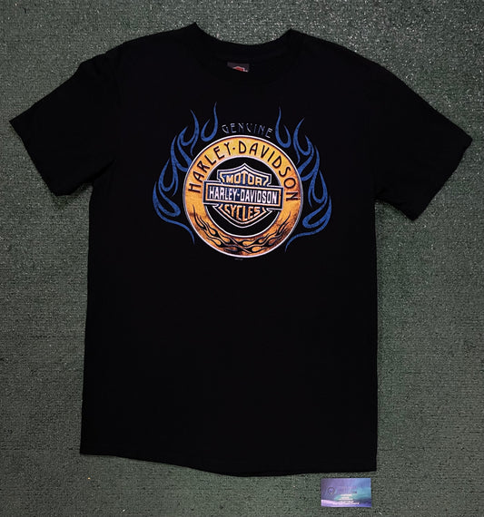 Harley Davidson flame Mesa Arizona tee