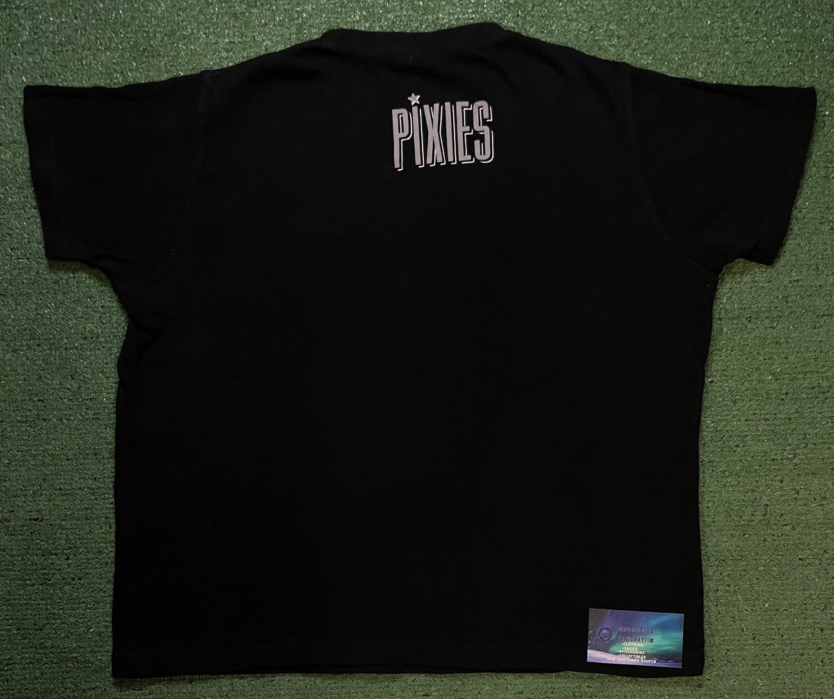Vintage 2000s Pixies tour tee