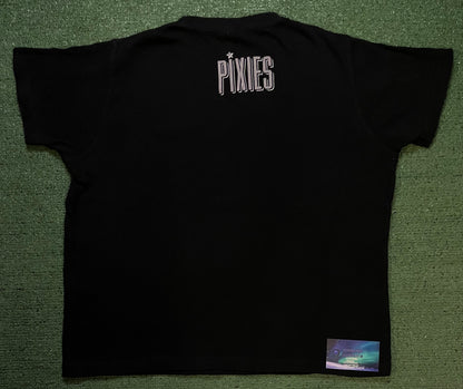 Vintage 2000s Pixies tour tee