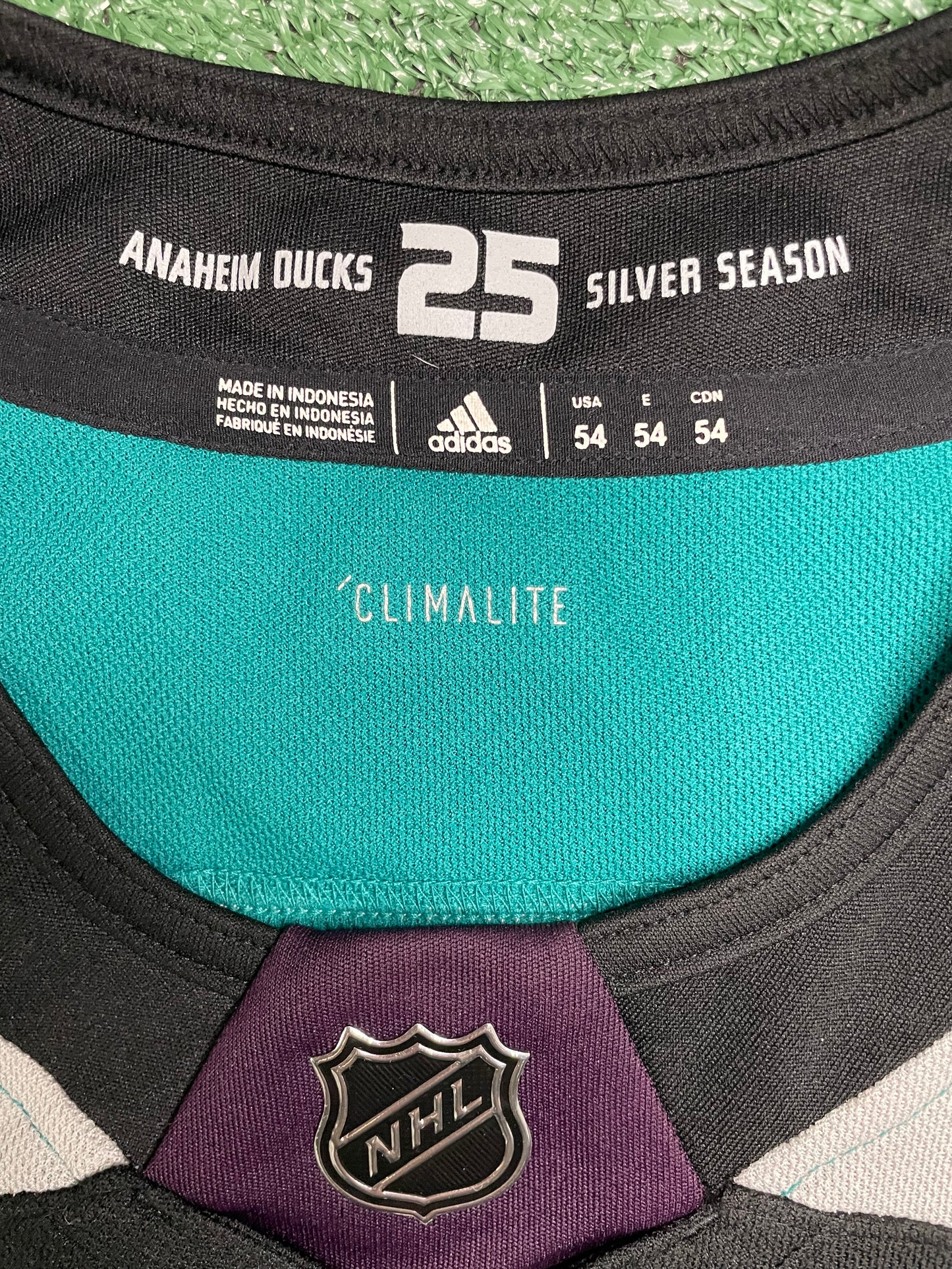 Anaheim ducks alternate hockey jersey