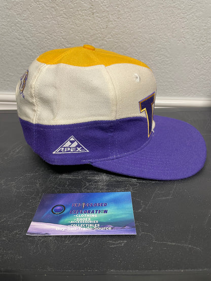Vintage 1990s University of Washington Huskies Swirl apex one hat