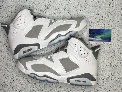 Jordan 6 Cool Grey