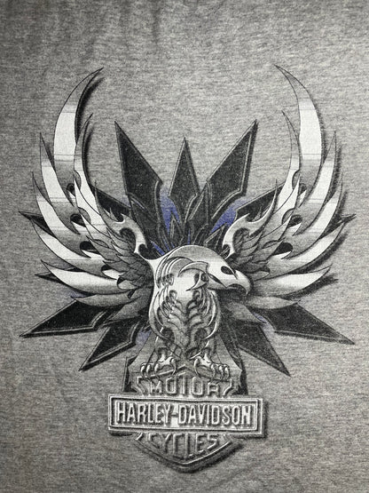 Vintage 2000s Harley Davidson tee