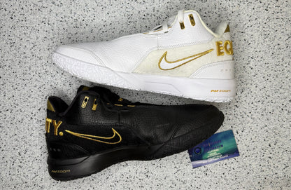 Nike Zoom Lebron NXXT Gen Equity 9.5 Men/11 Women “Preowned”