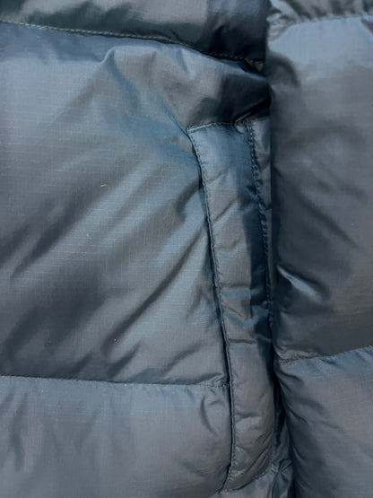 The North face blue Nuptse 700 jacket