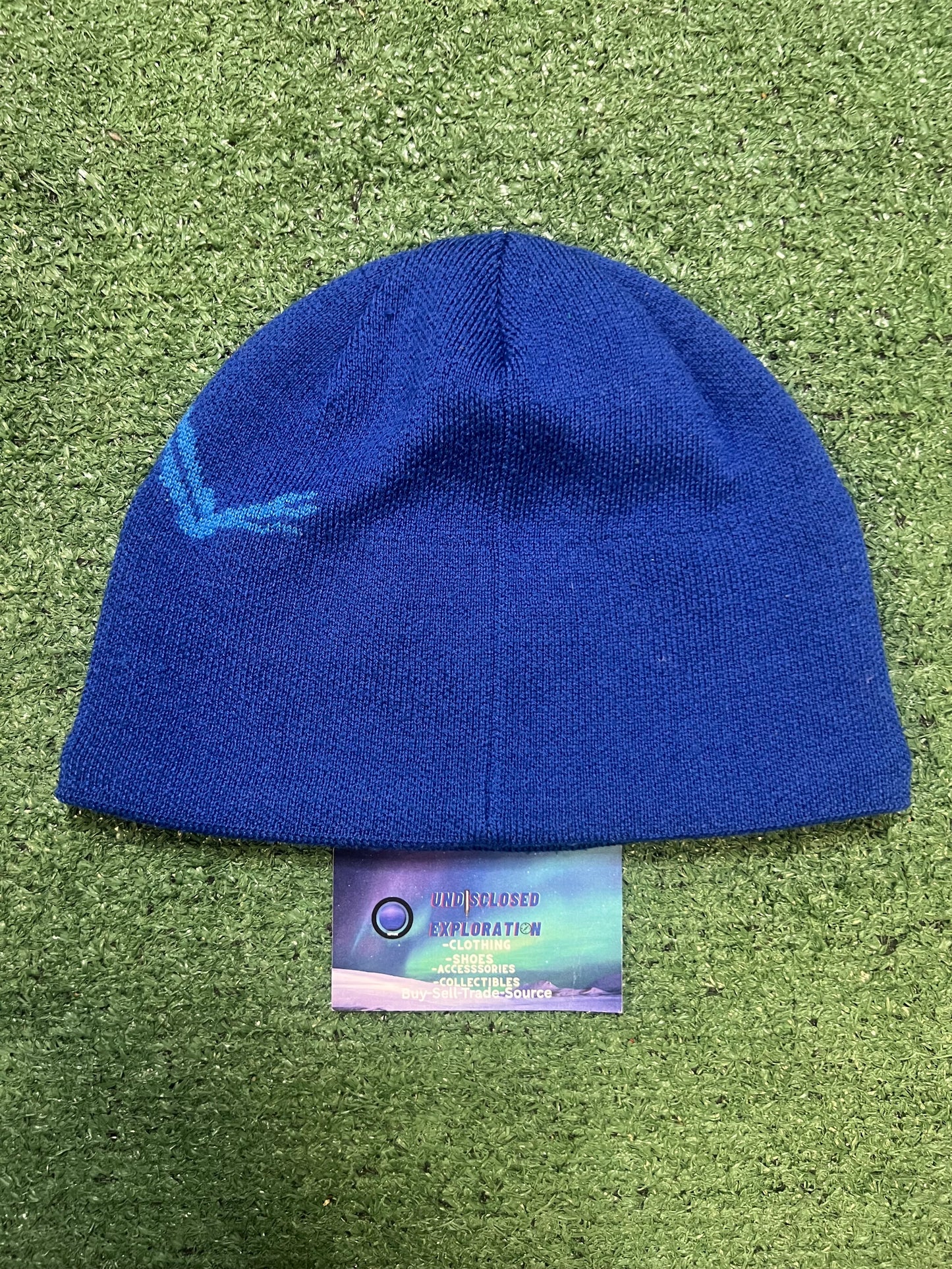 Arc'teryx Bird Head Toque blue  beanie