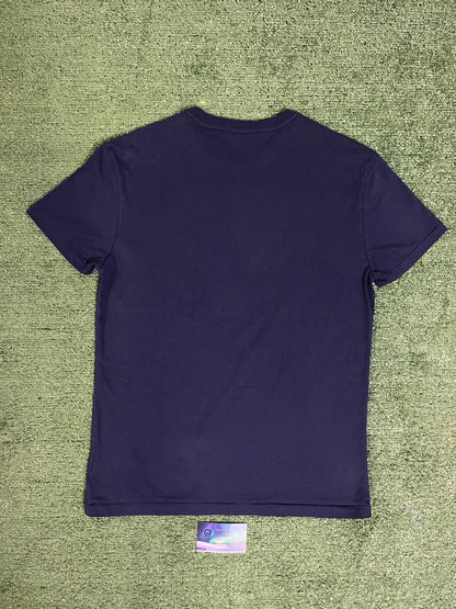 Polo Ralph Lauren bear surfing tee