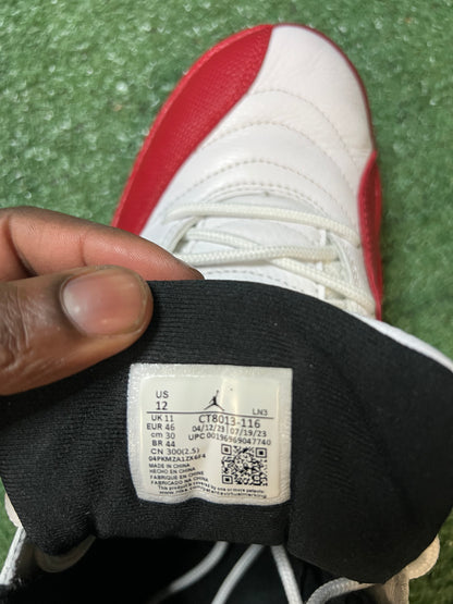 Jordan 12 cherry 2023 size 12men/13.5women