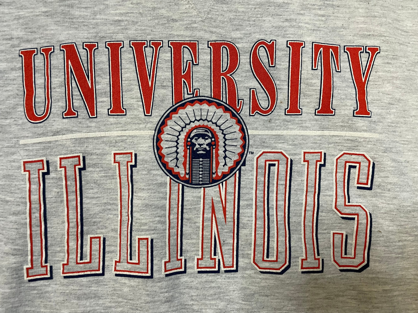 Vintage 1990s University Of Illinois crewneck