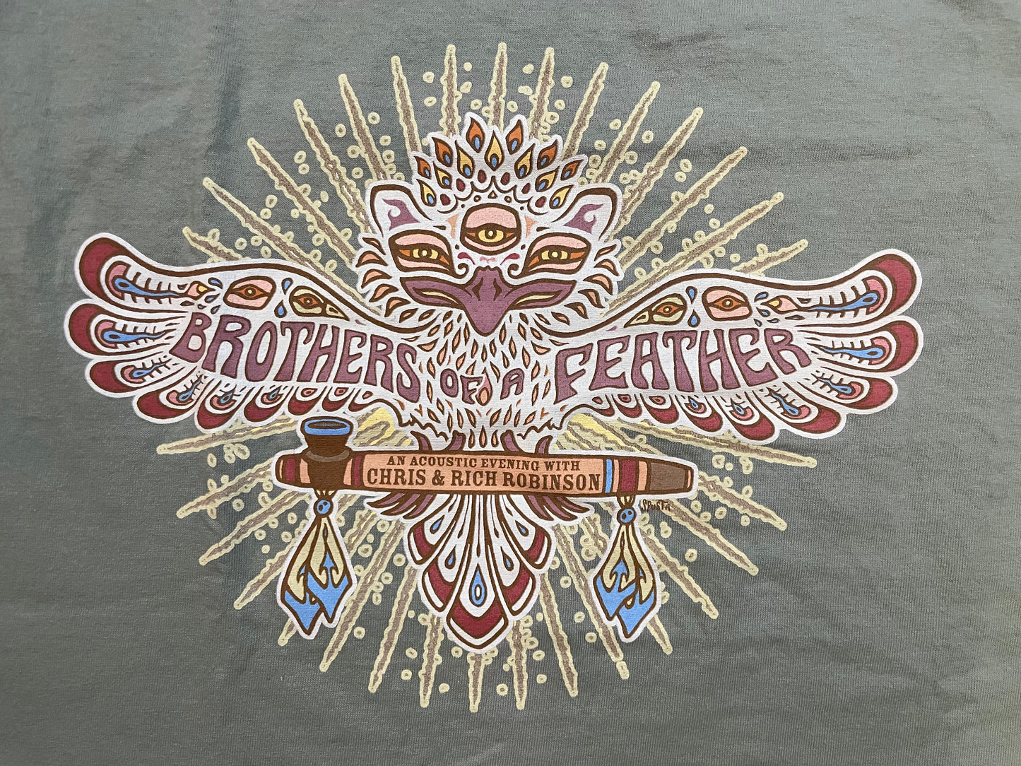 Vintage 2000s Brothers Of A Feather Chris & Rich Robinson tee
