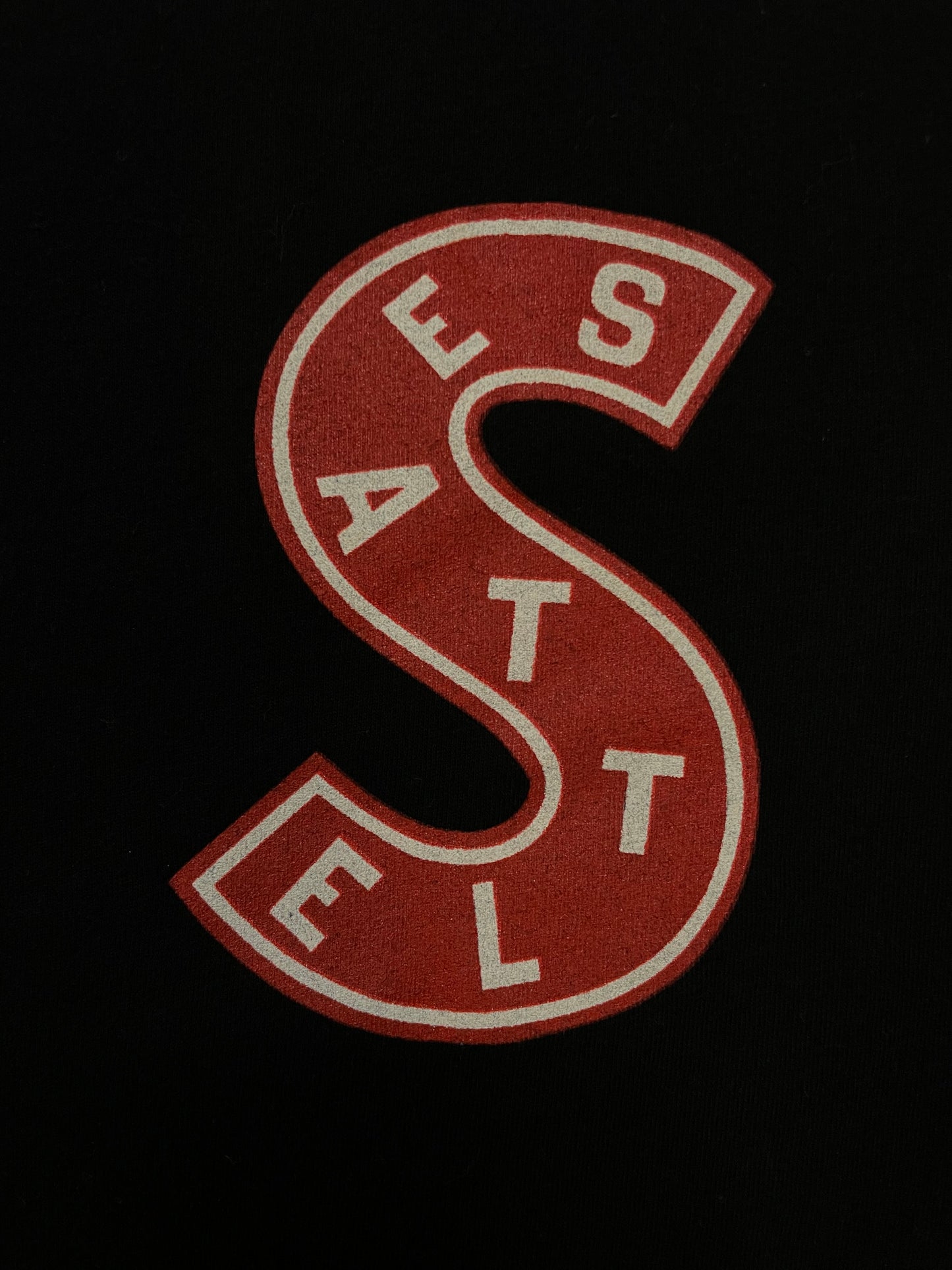 Seattle metropolitan hockey tee