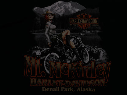 Harley Davidson Alaska Denali park tee