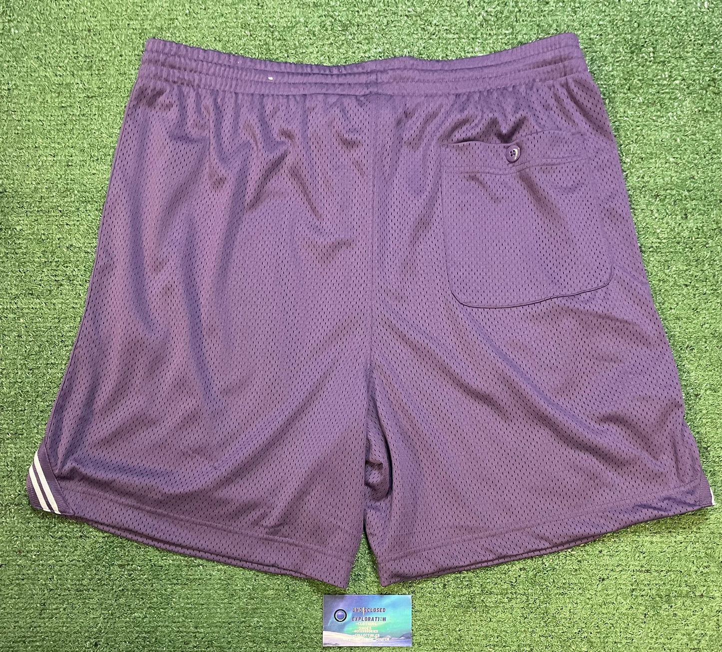 American Eagle X Russell purple shorts