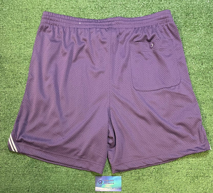 American Eagle X Russell purple shorts