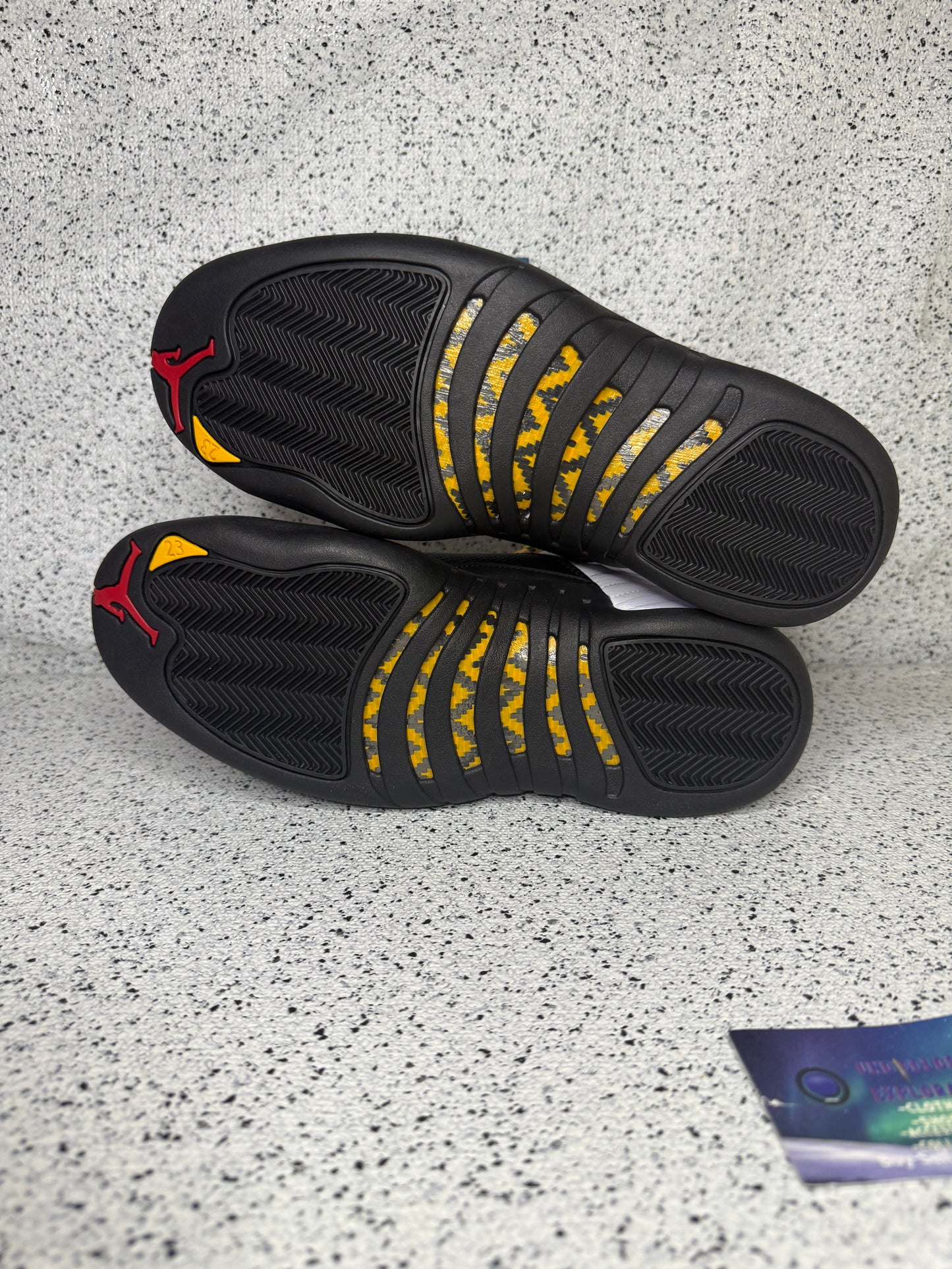 Jordan 12 Taxi