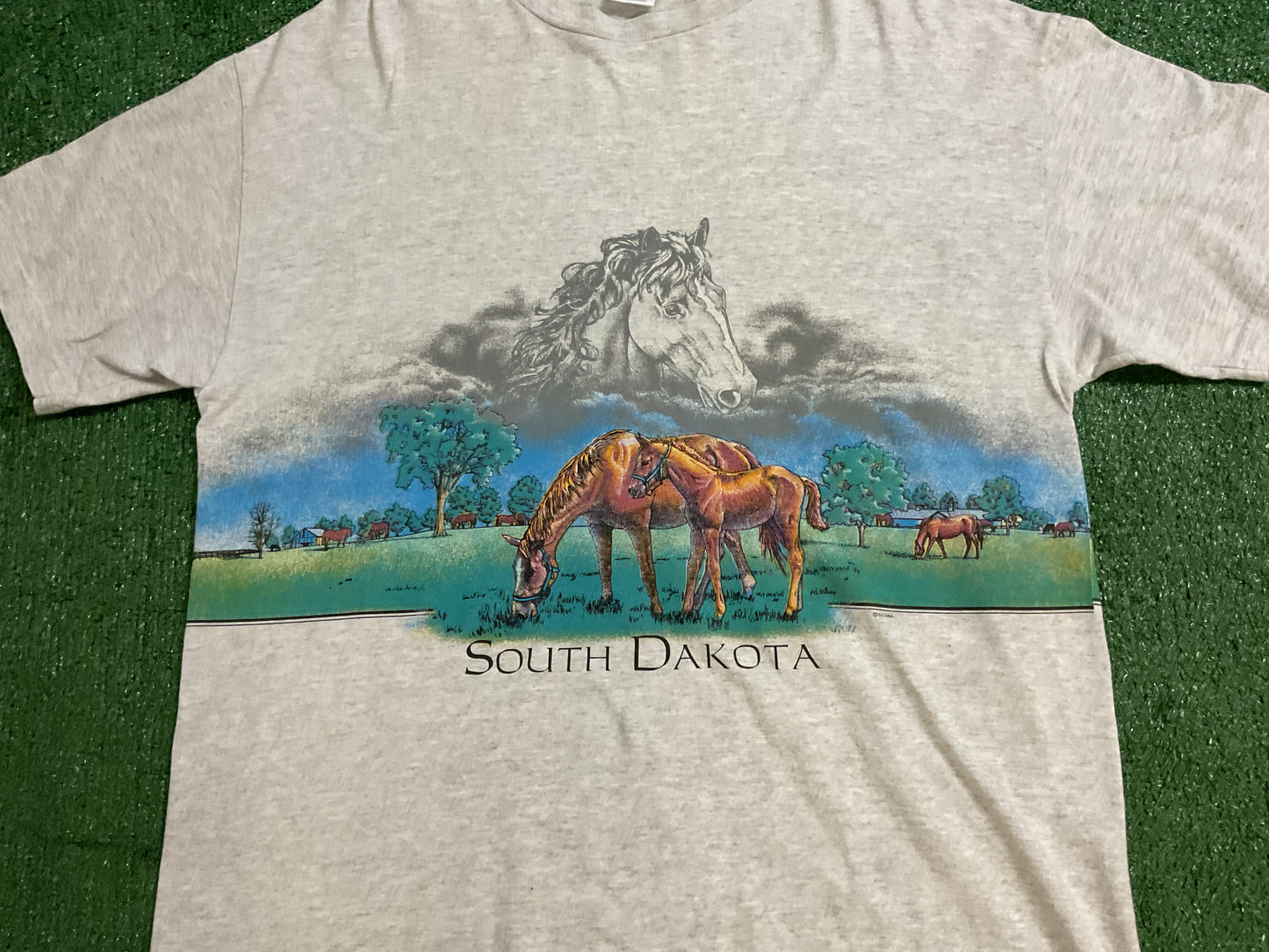 Vintage South Dakota Horse Tee