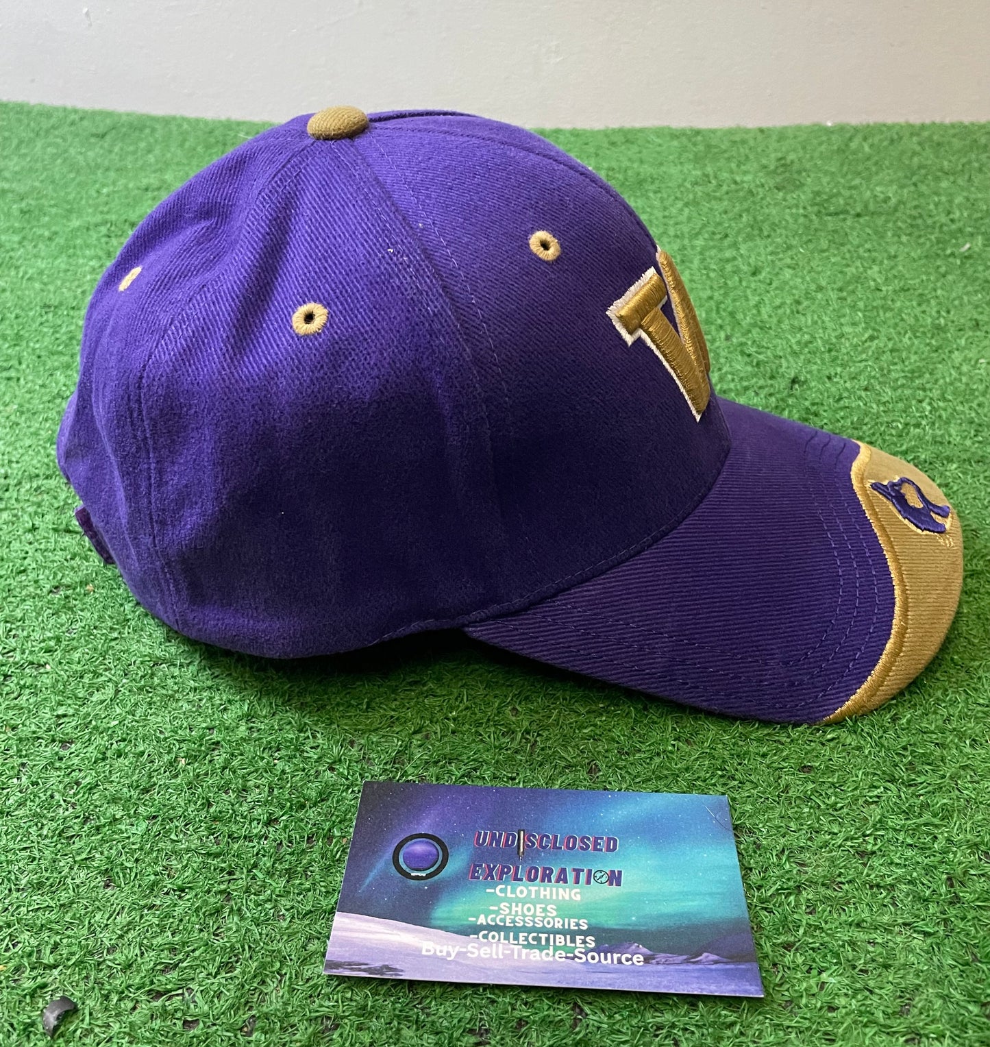Vintage 2000s UW university of Washington embroidered hat