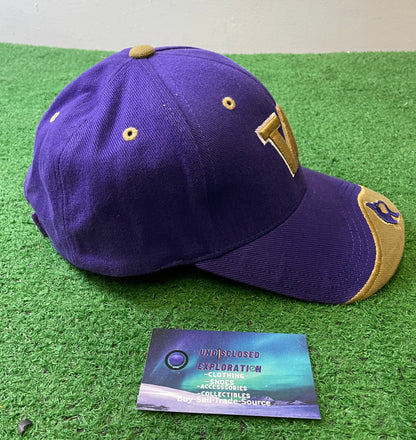 Vintage 2000s UW university of Washington embroidered hat