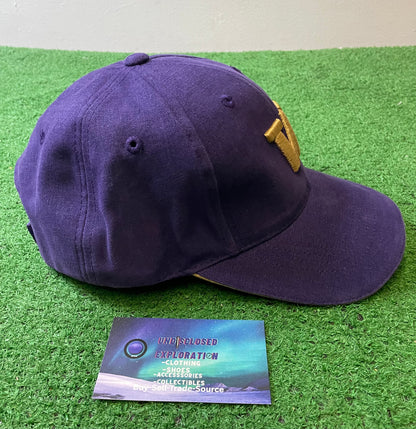 Vintage 1990s UW University of Washington embroidered hat