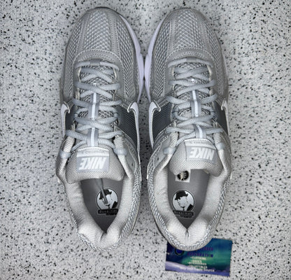 Nike Vomero Wolf Grey