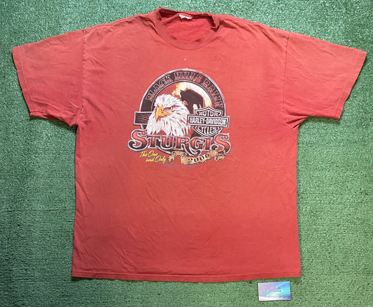 Vintage 2000s Harley Davidson sturgis orange tee