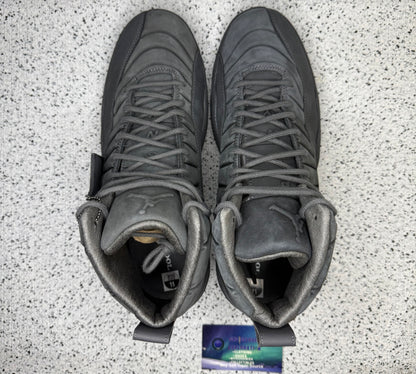 Jordan 12 PSNY