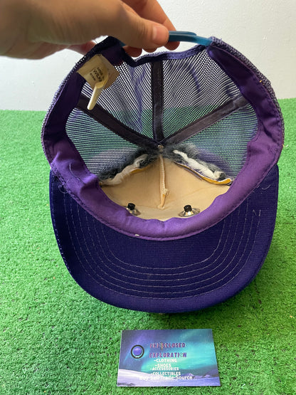 Vintage 1980s UW University of Washington Huskies 3D plush hat