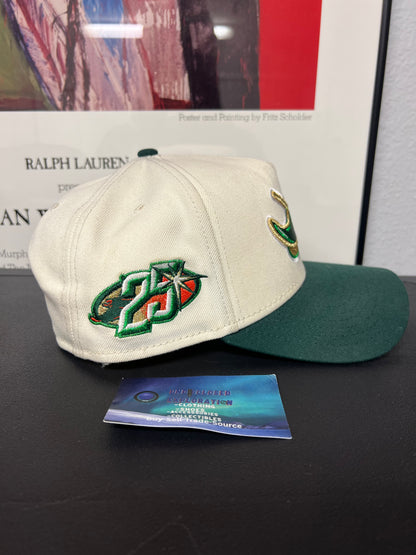 Tampa Bay Devil Rays Tropicana Field  hat