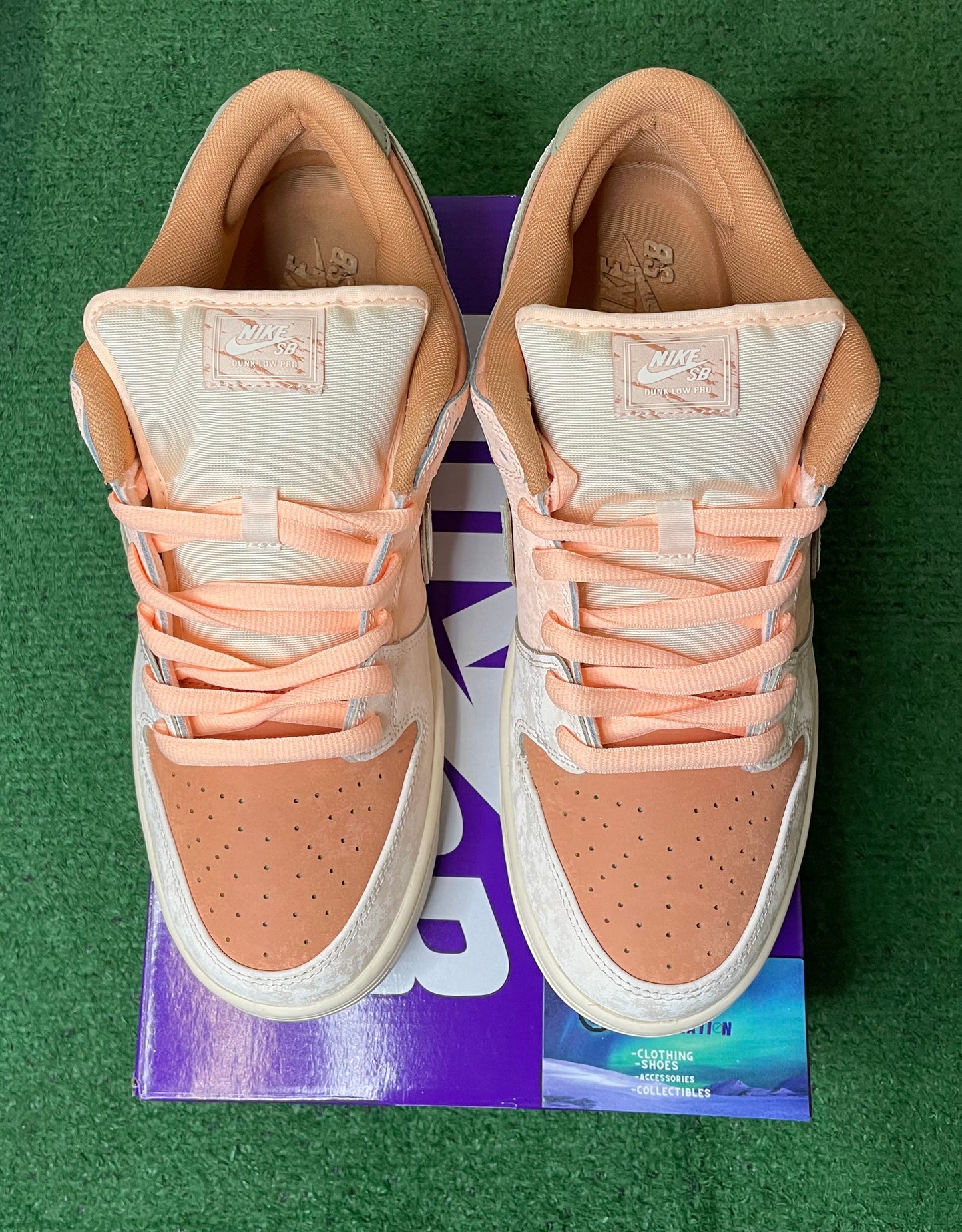 Nike Sb dunk low tracedro gardens size 12men/13.5women