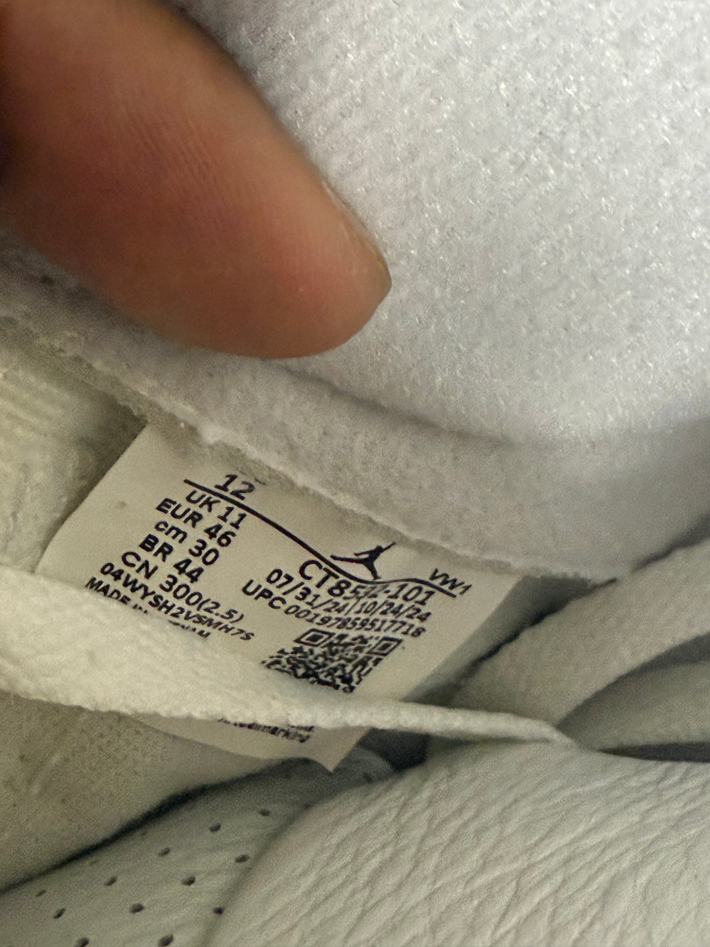 Jordan 3 Lucky Shorts