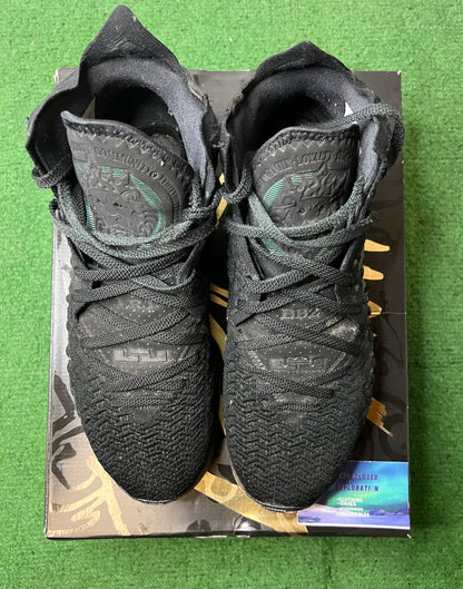 Nike Lebron 17 currency size 12men/13.5women