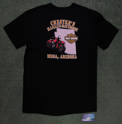 Harley Davidson flame Mesa Arizona tee