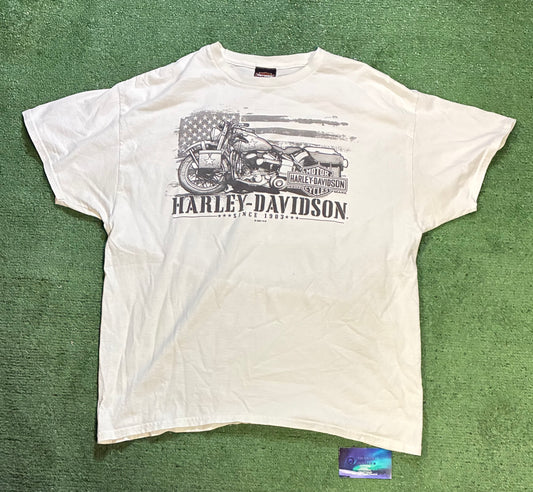 Harley skull Michigan tee