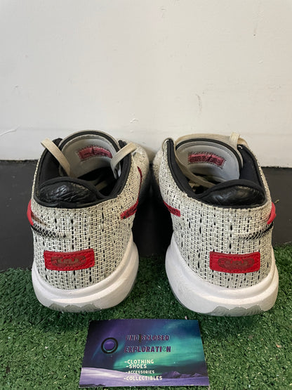 Nike LeBron 20 XX the debut size 10.5men/12women