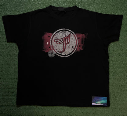 Vintage 2000s Pixies tour tee