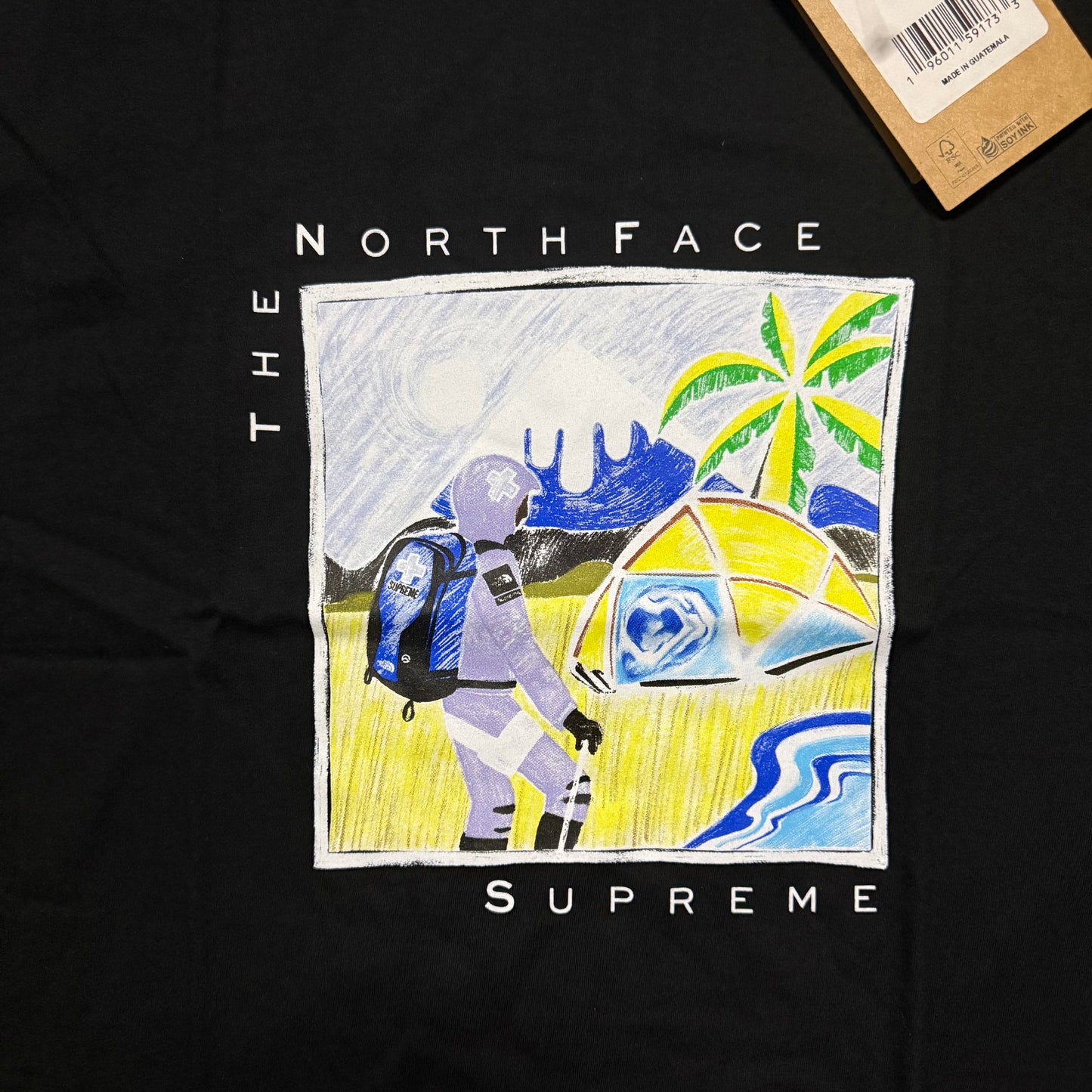 Supreme The North Face Shirt