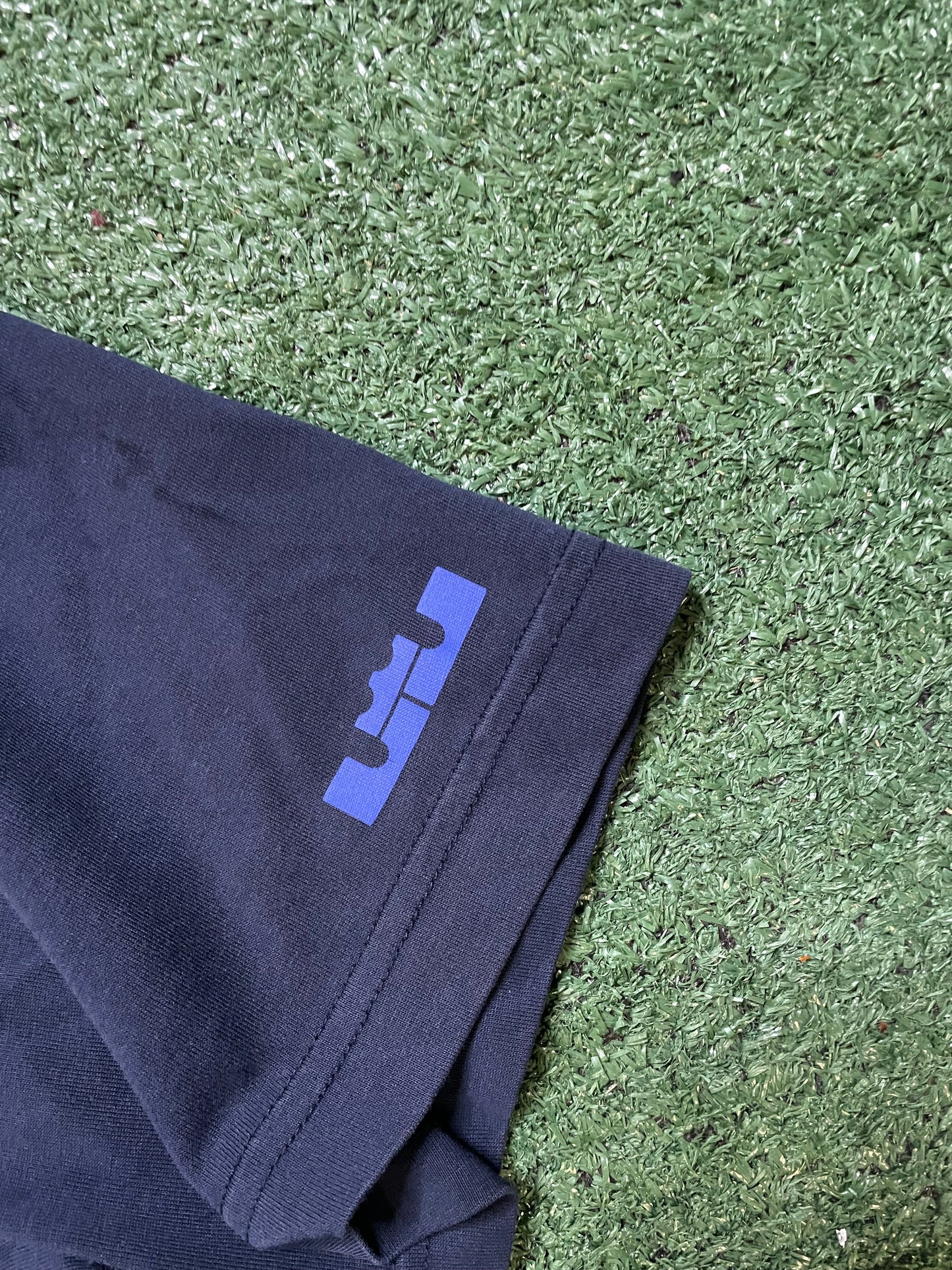 Nike LeBron James pre game lion tee