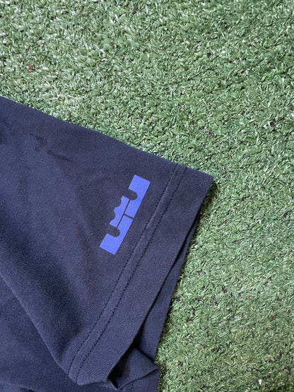 Nike LeBron James pre game lion tee