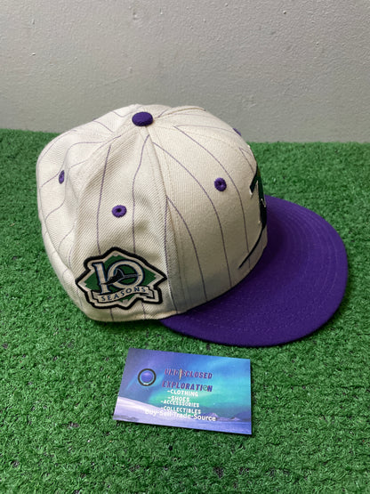 Tampa Bay Rays 10th season Fitted Hat
