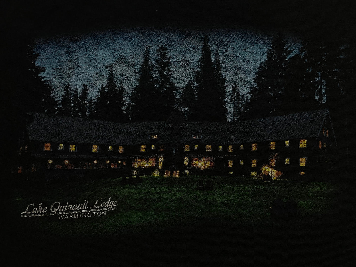 Vintage 1990s Lake Quinalt Lodge Washington tee