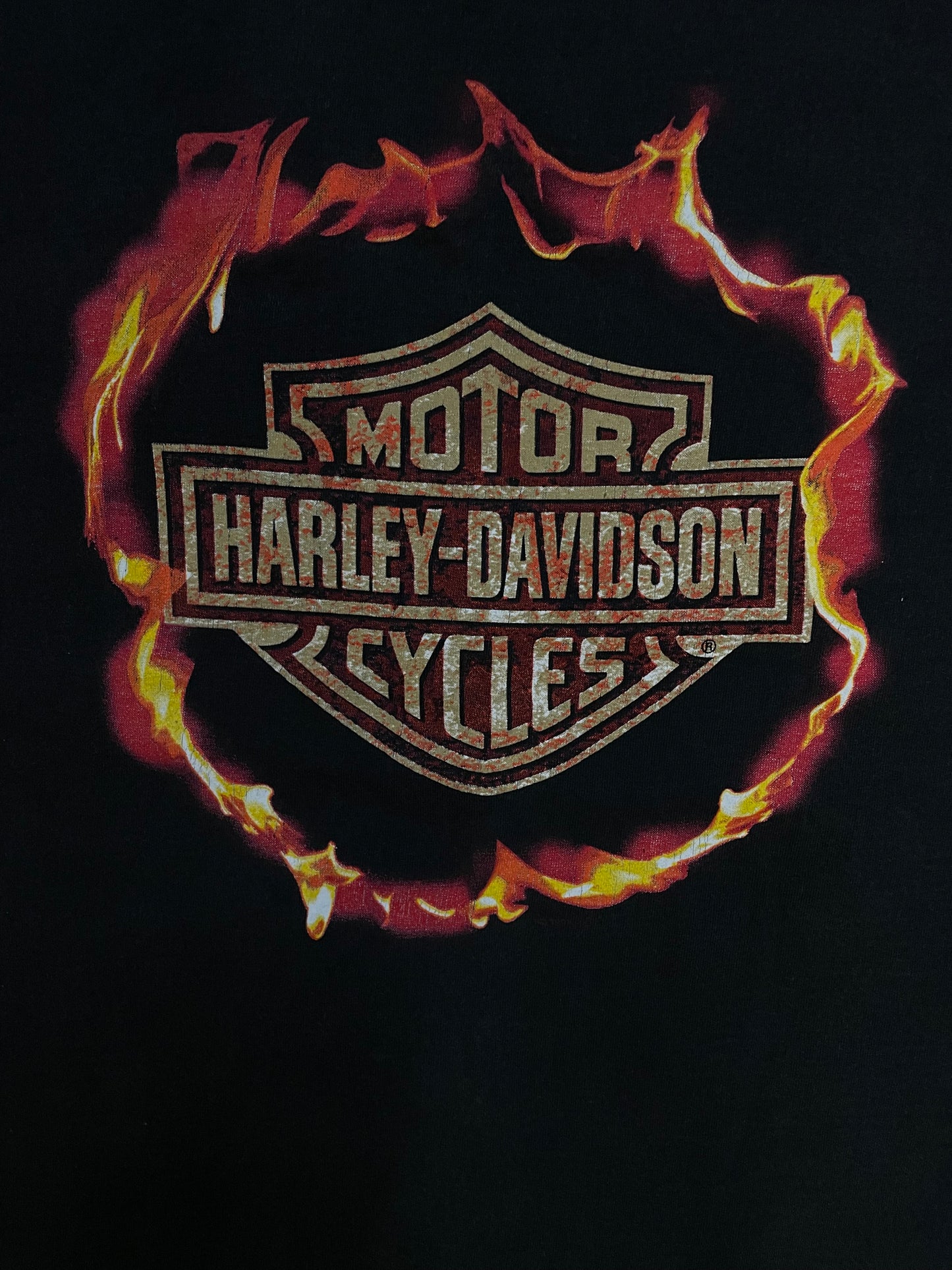 Vintage 1990s Harley Davidson flame tank top