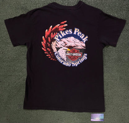 Vintage 1980s Harley Davidson thunder in the Rockies tee