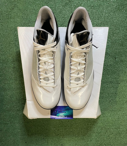 Nike Air Jordan 2009 white metallic silver