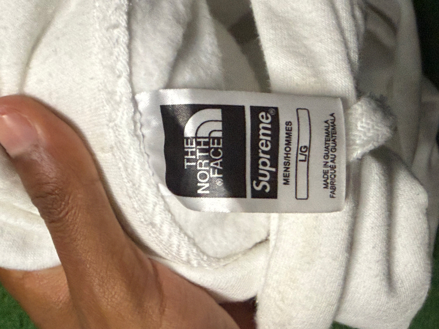 Supreme North Face Metallic Logo Hoodie