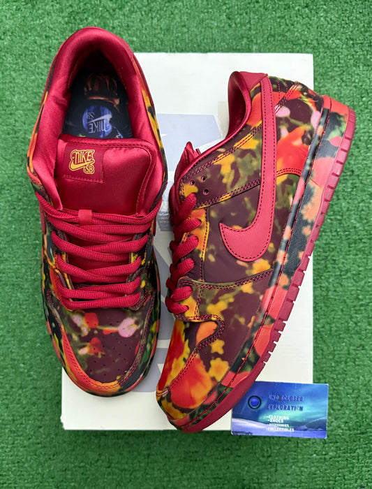 Nike Dunk Sb Low Wizard Of Oz