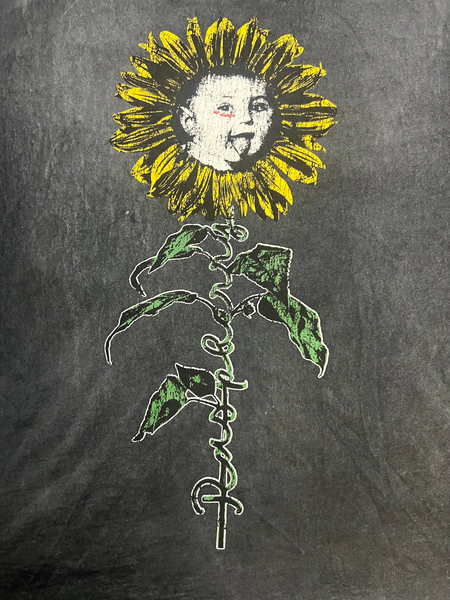Gv Gallery raspberry hills flower boy tee